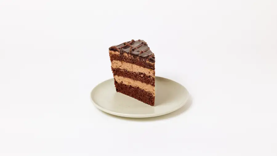 Praga Cake Slice