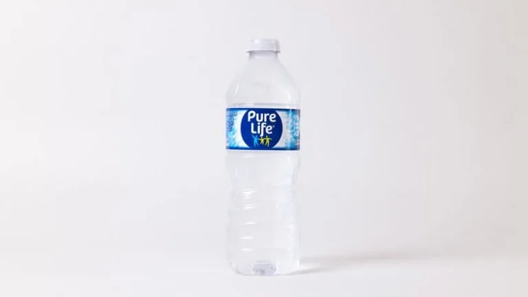 Pure Life Water 16.9 fl oz